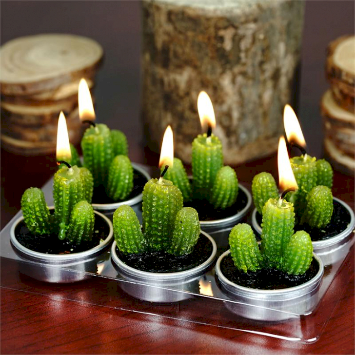 Bougie Cactus - AWGifts-France