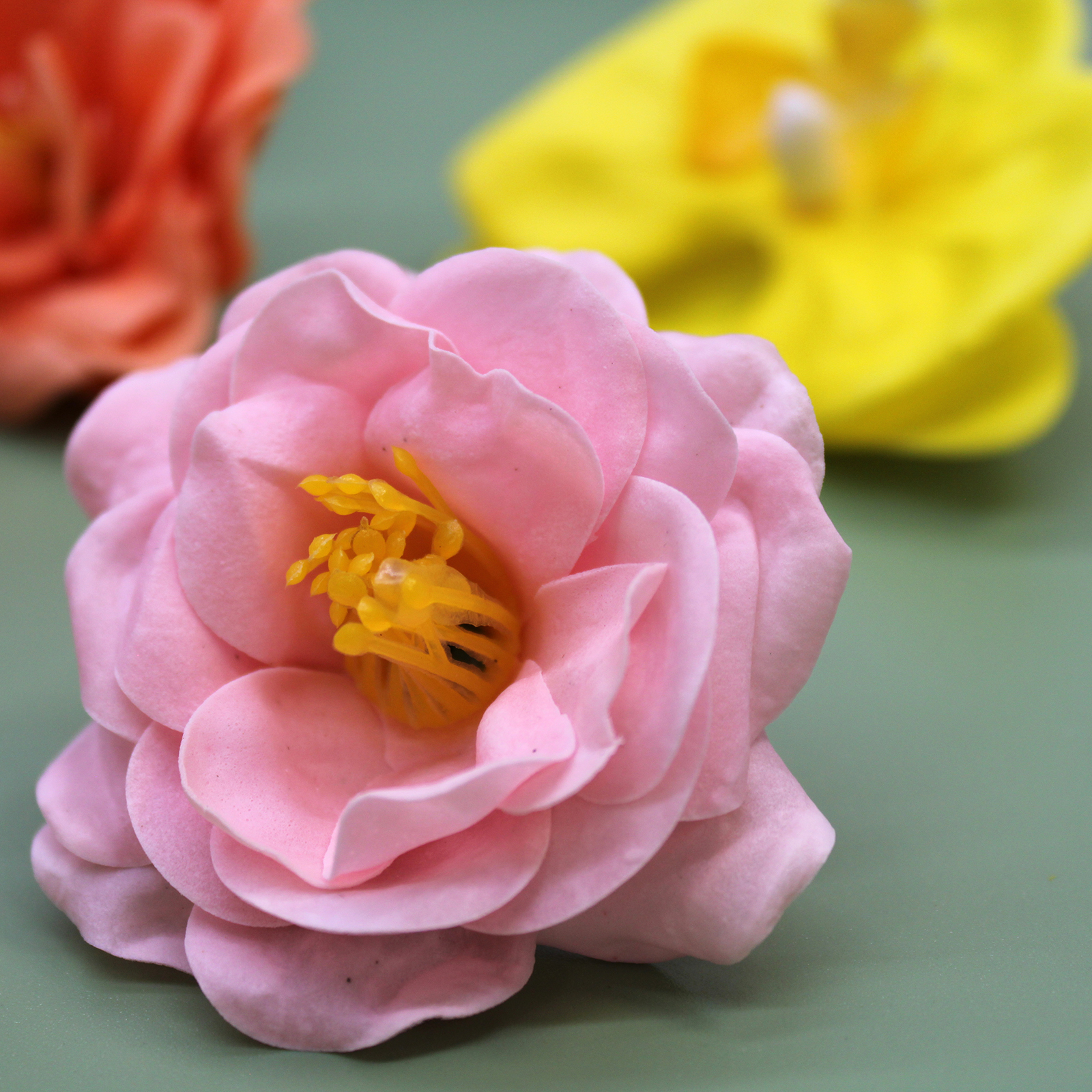 Fleurs de Savon & Accessoires