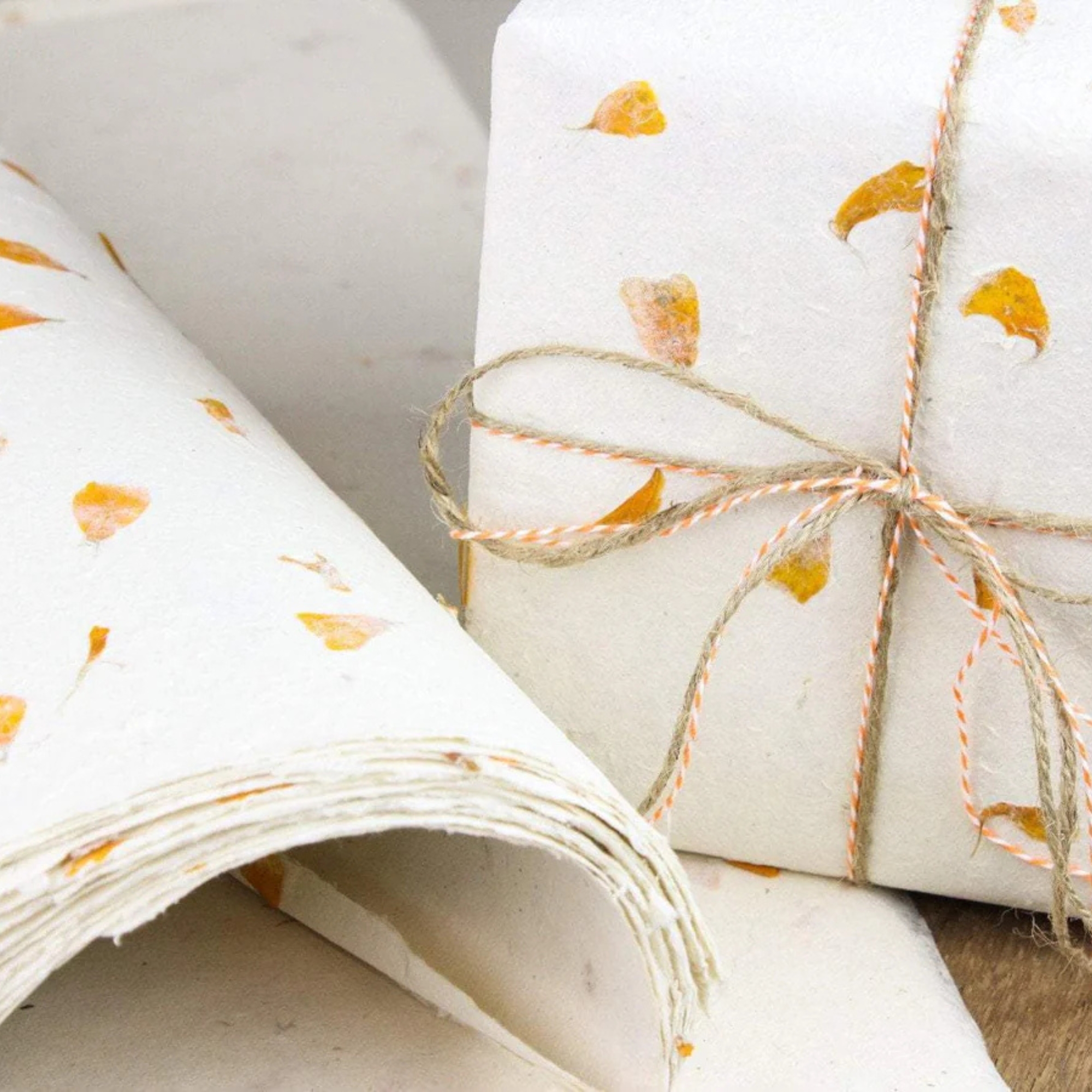 Feuilles de Papier Lokta en Gros - AWGifts France